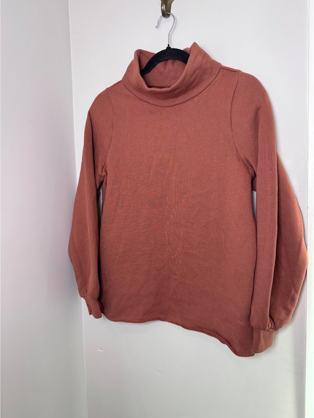 Madewell MWL Betterterry Relaxed Turtleneck Sweatshirt XS Rust Terracotta